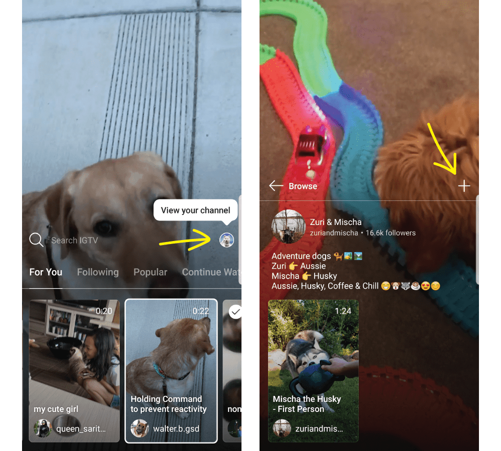 The Ultimate guide to IGTV - Outofthe925.com