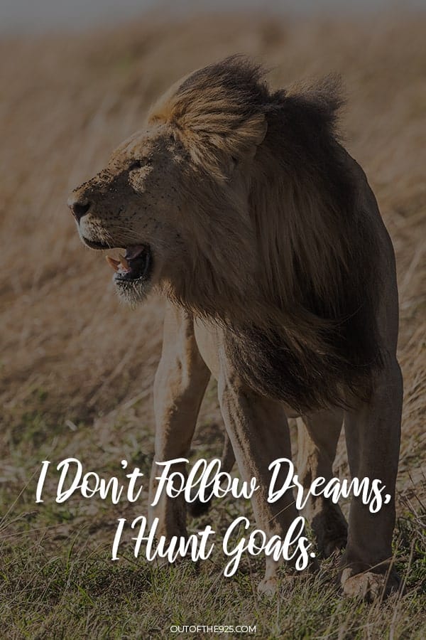 I don't follow dreams. I hunt goals.