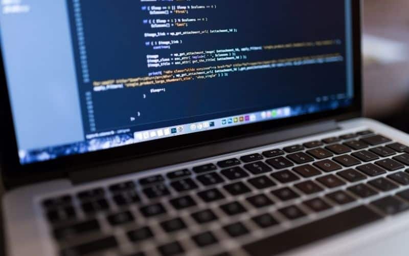 Make $1000 per week online as a web developer